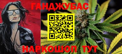 индика Лесосибирск