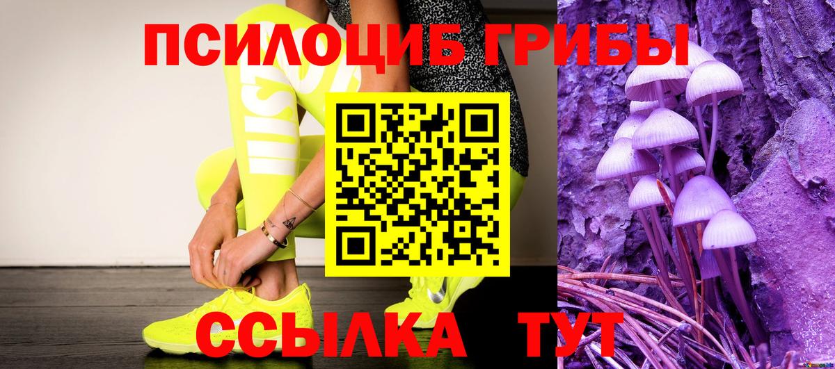Псилоцибиновые грибы мицелий Городец