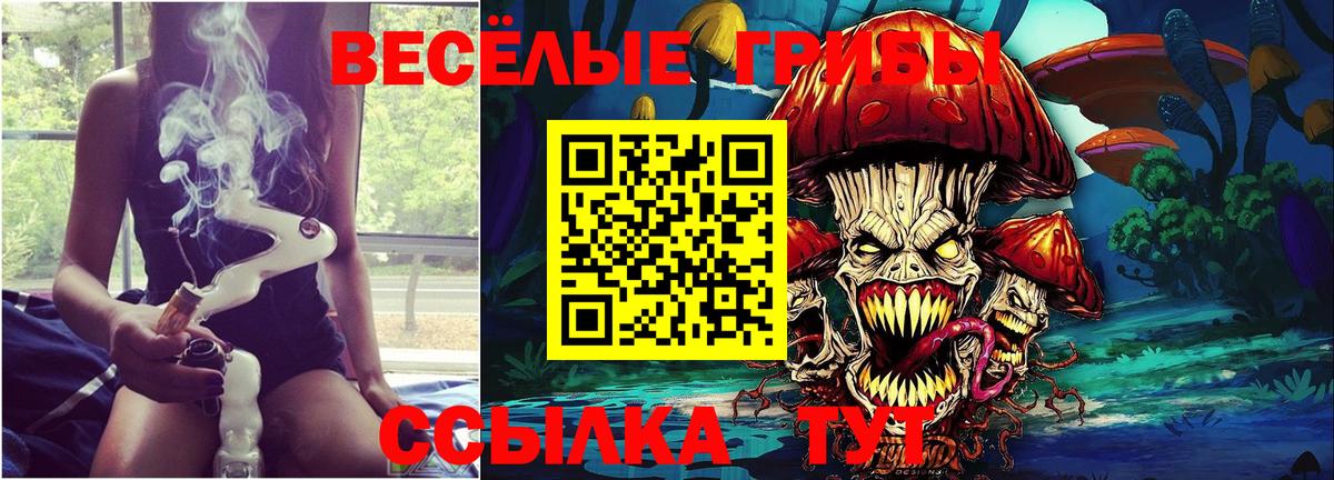 Городец  Галлюциногенные грибы ЛСД  Вход с VPN 